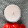 Flat lay top view of a DitsyJaffa Grandad's Greenhouse candle