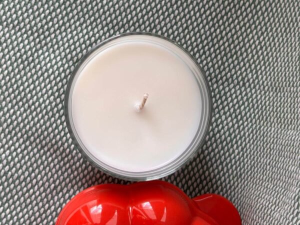 Flat lay top view of a DitsyJaffa Grandad's Greenhouse candle